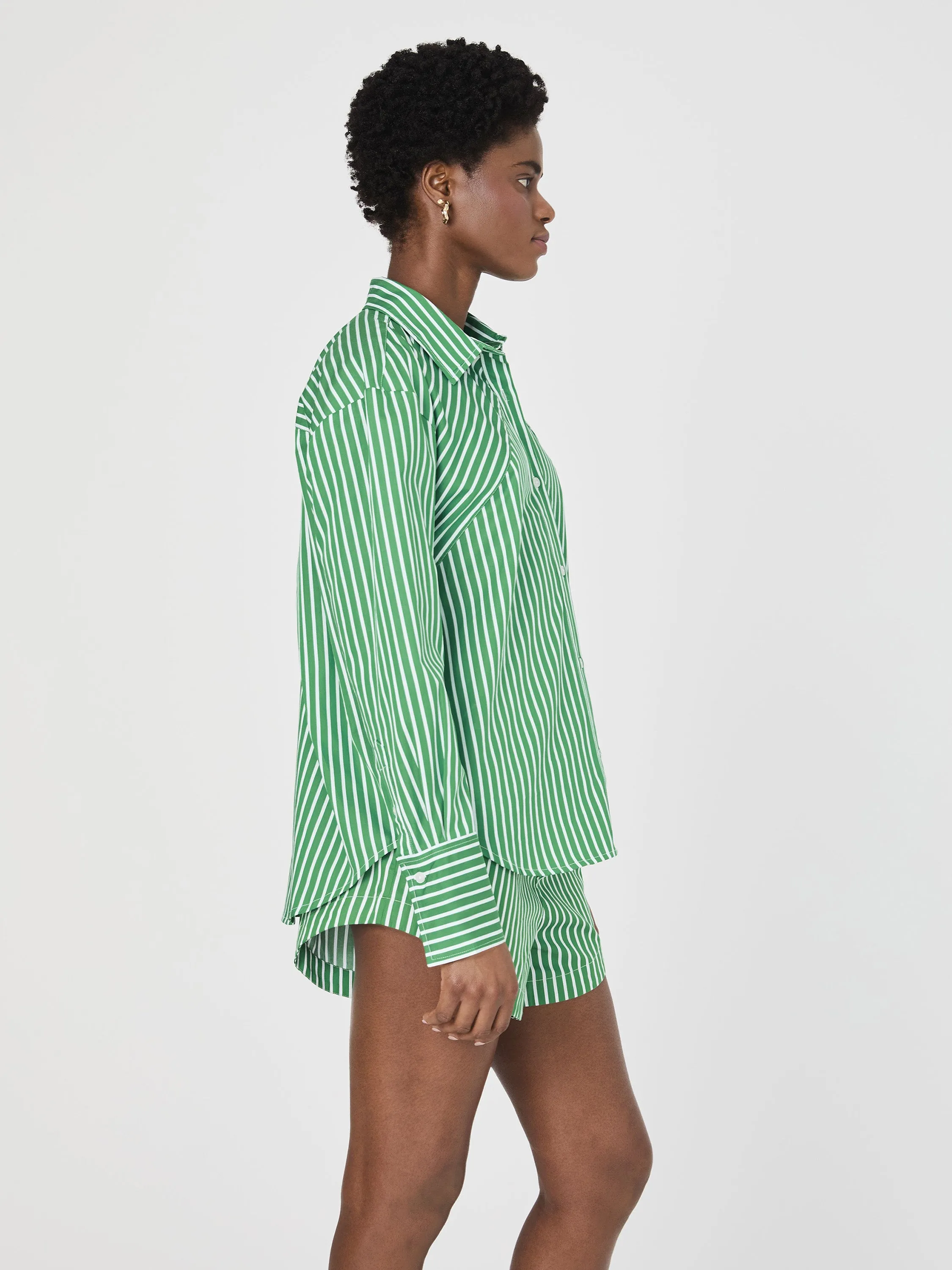Alexis Cotton Angled Yoke Striped Shirt