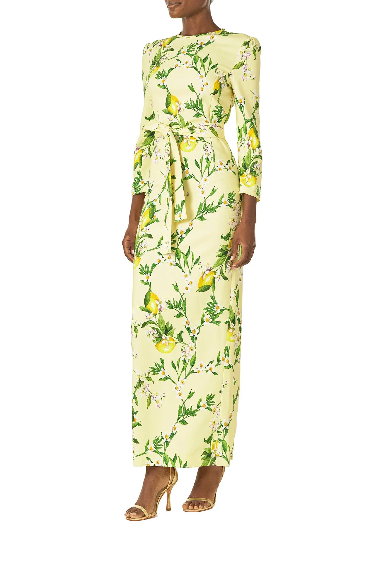Bracelet Sleeve Sheath Dress