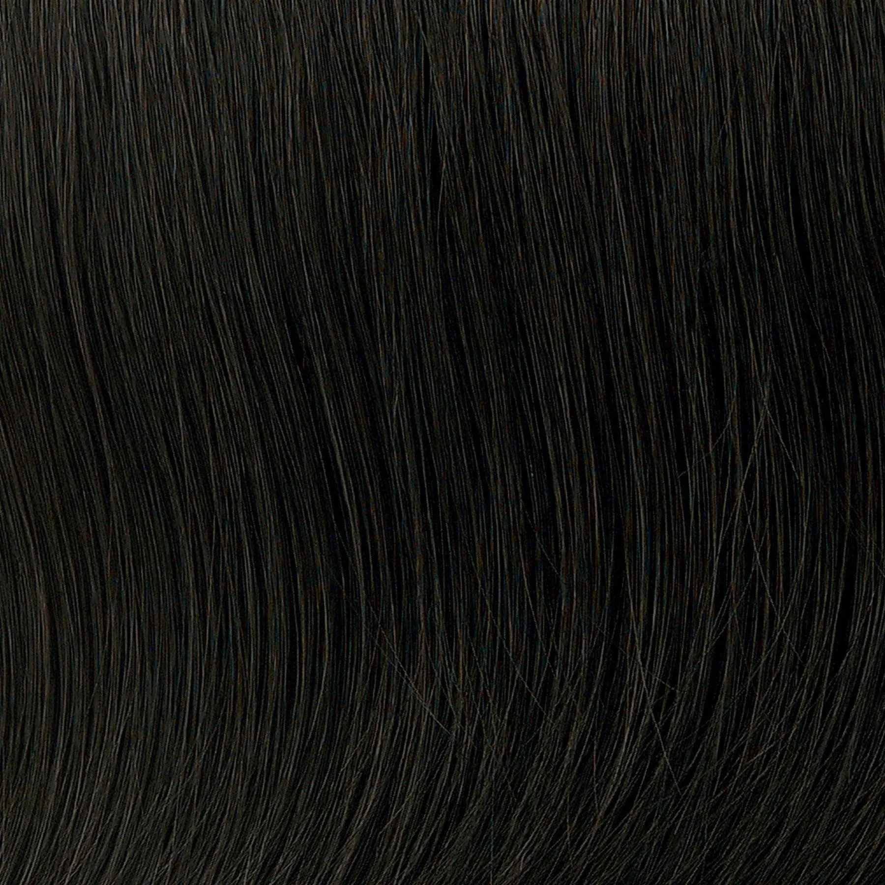 Enticing Wig by Toni Brattin | Heat Friendly Synthetic (Basic Cap)