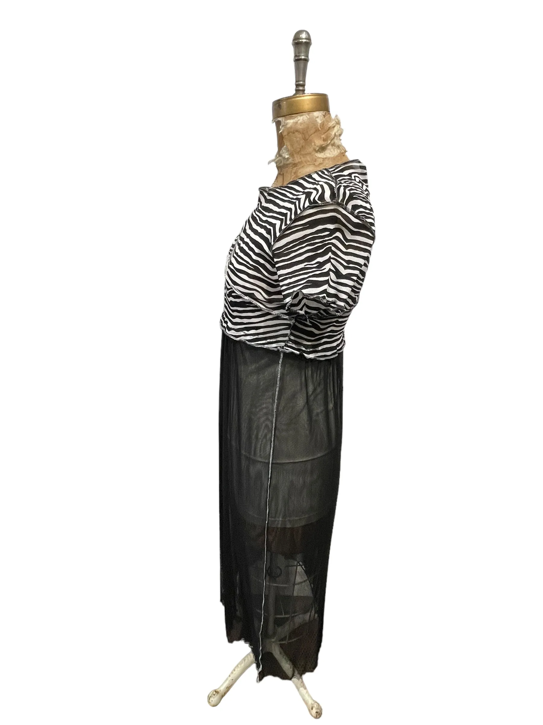 Mesh  dress long