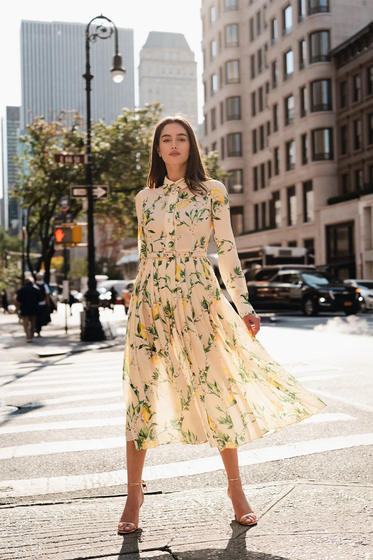 Pleated Button-Down Dress