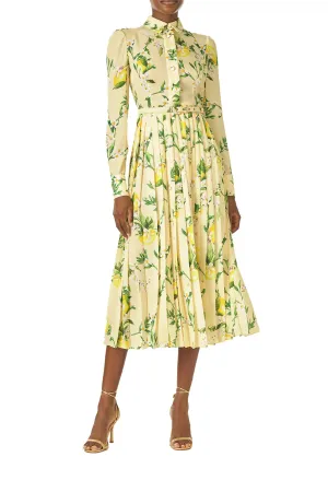Pleated Button-Down Dress