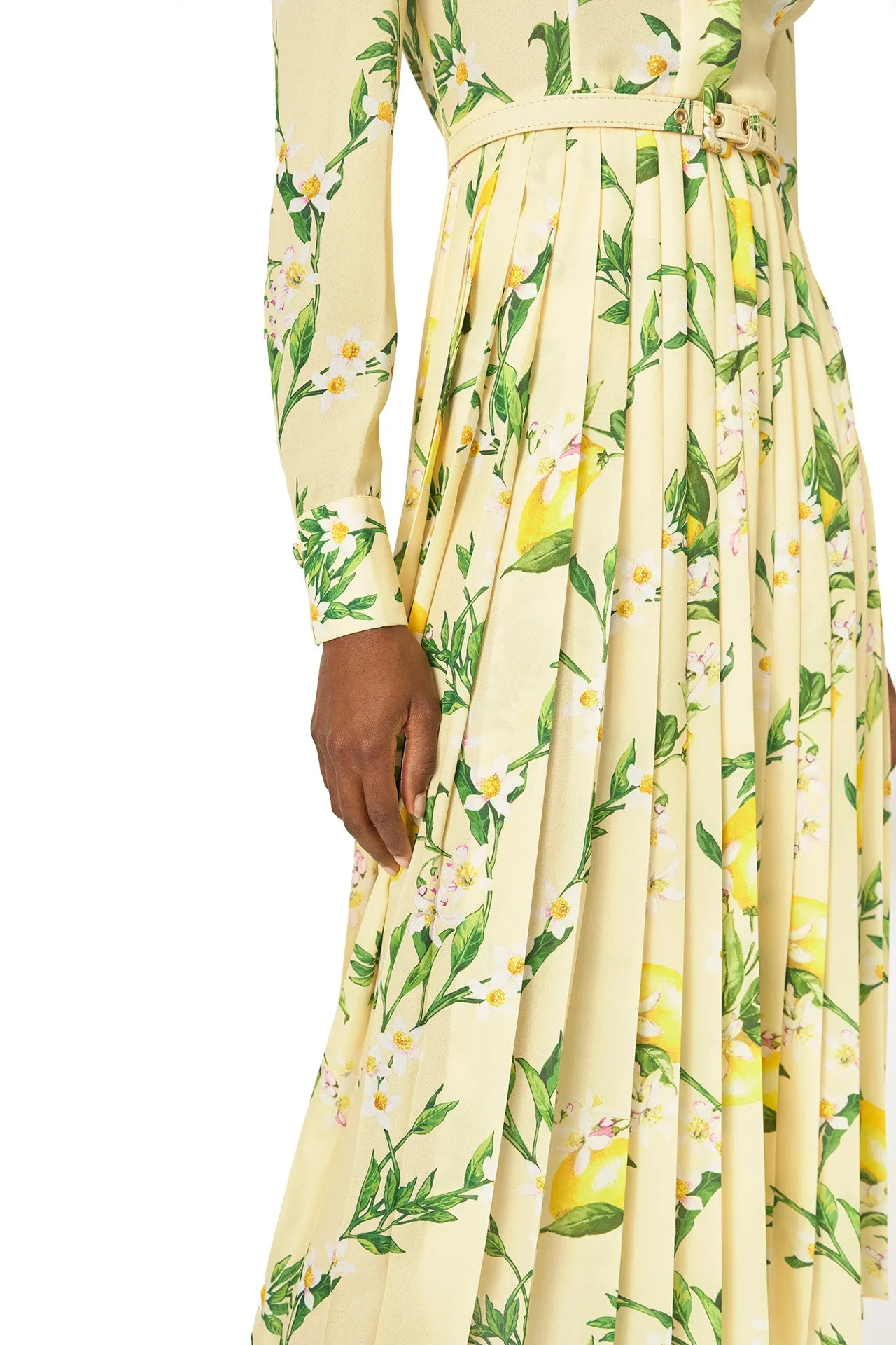 Pleated Button-Down Dress
