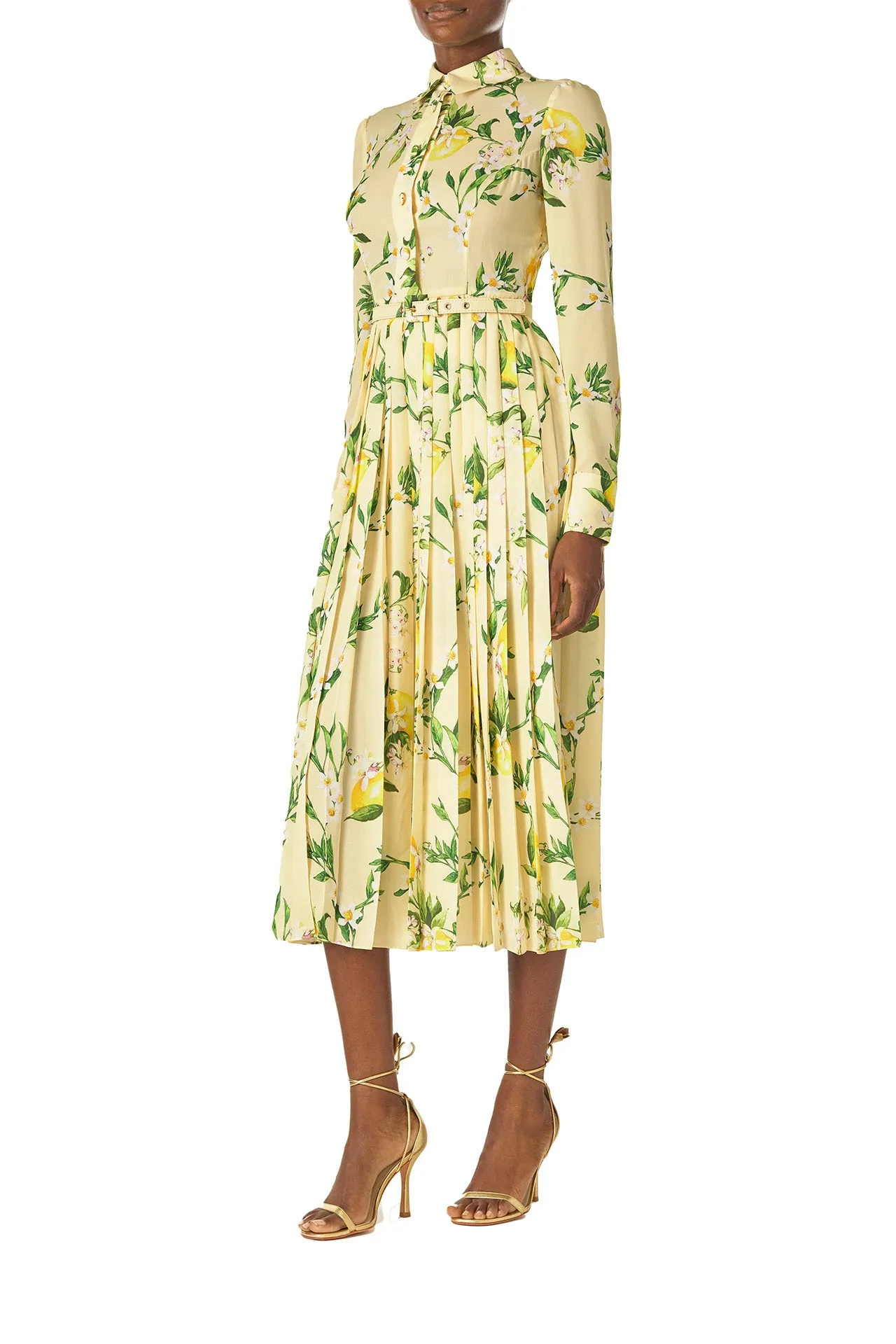 Pleated Button-Down Dress