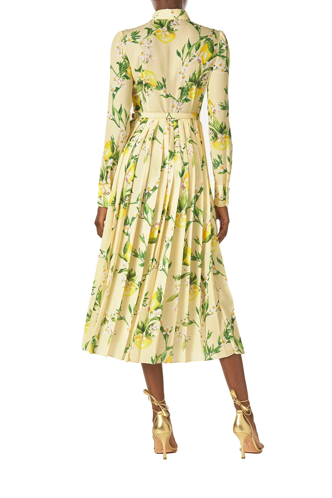 Pleated Button-Down Dress