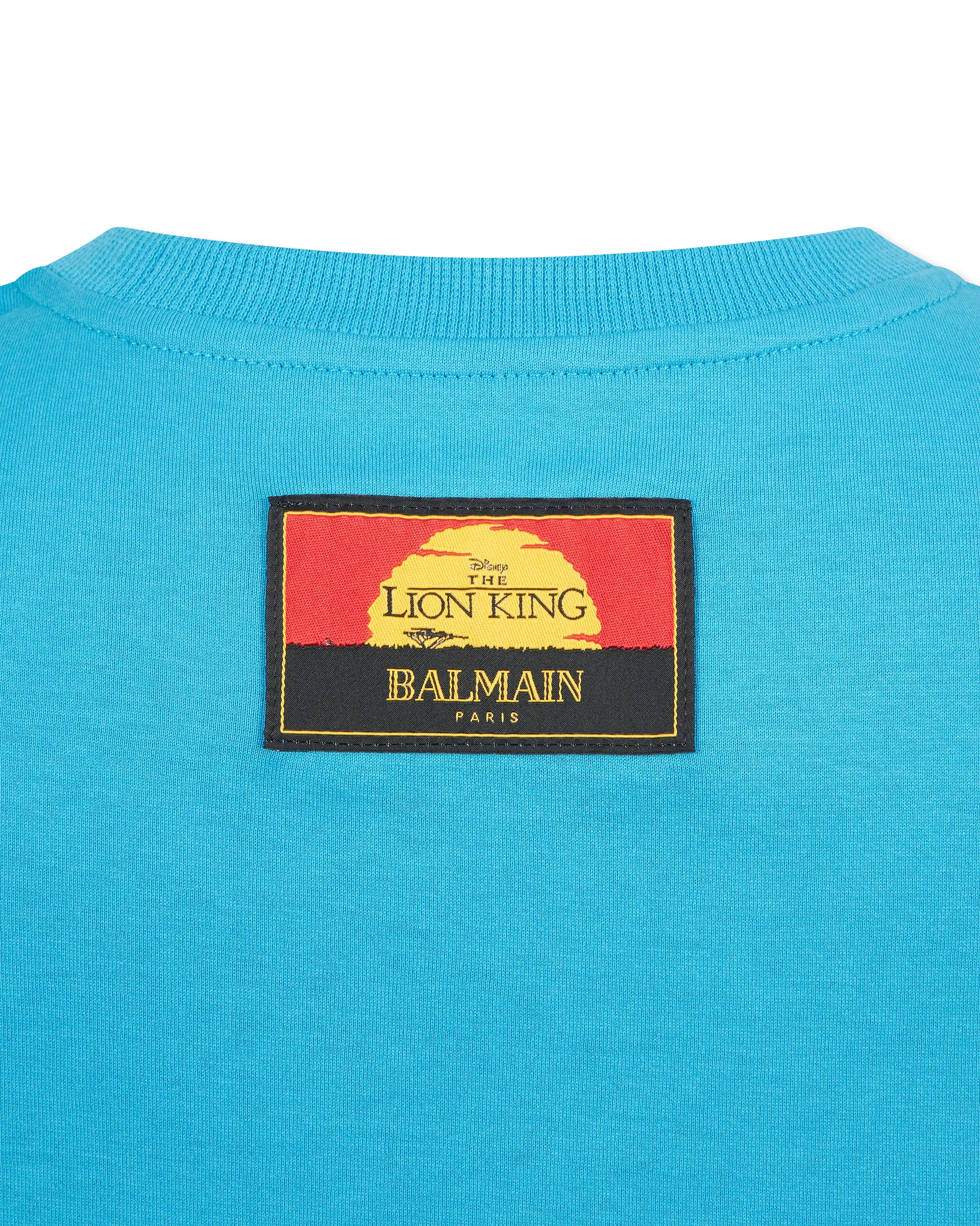 The Lion King Cassius Khumalo Printed Cropped T-Shirt