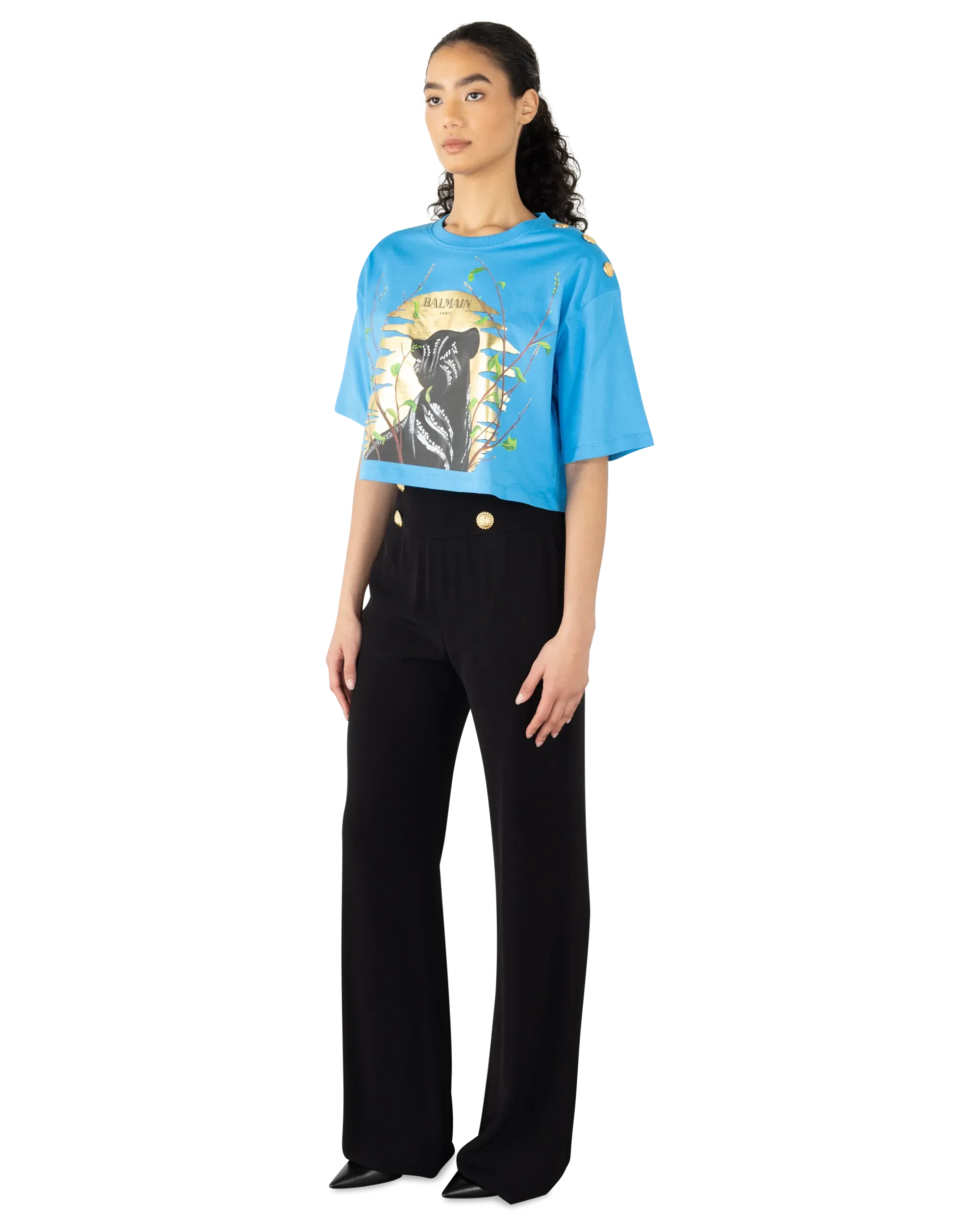The Lion King Cassius Khumalo Printed Cropped T-Shirt